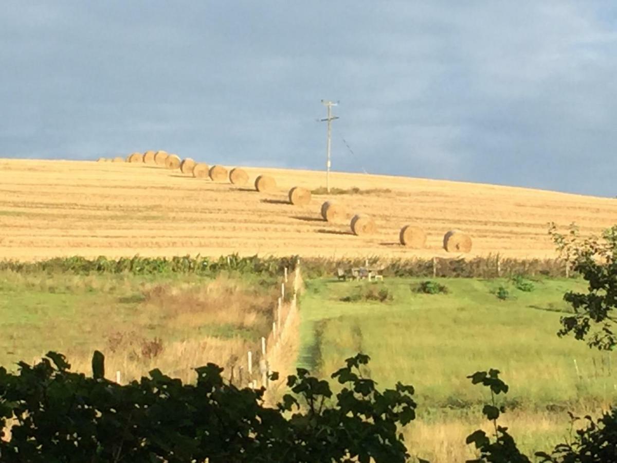 Pienook Lägenhet Blandford Forum Exteriör bild